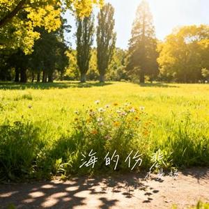 海的伤悲 (Cover 海青)