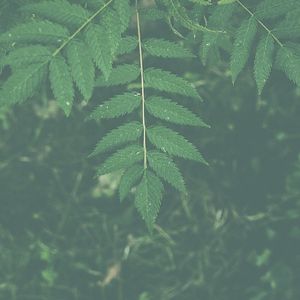 抚慰的在家冥想回忆