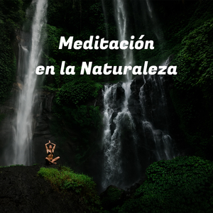 Sonido de Lluvia en la Montaña