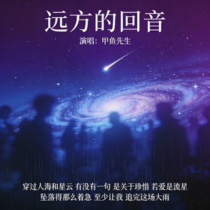 远方的回音