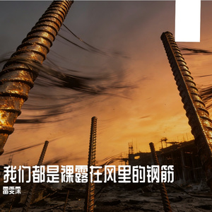我们都是裸露在风里的钢筋（男版）