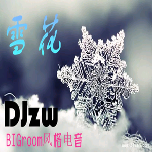 雪花 - DJzw（original）