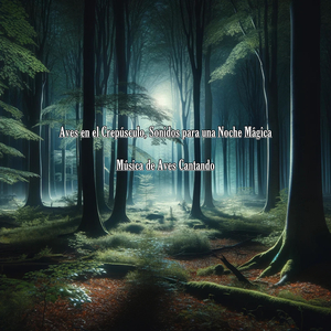 Paz Entre las Ramas, Melodías de Aves para la Noche