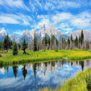 エトススペクトル