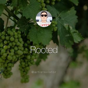 Rooted