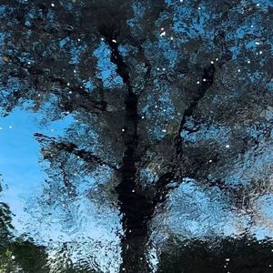 如果你懂我你就是我的世界