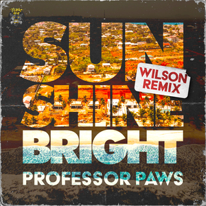 Sun Shine Bright - WILSON Extended Remix