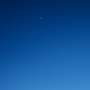 陪伴是最长情的告白