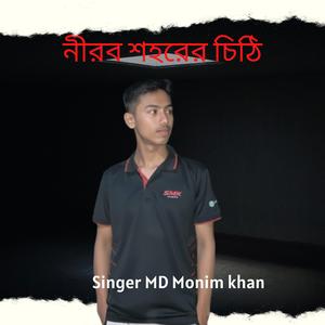 নীরব শহরের চিঠি