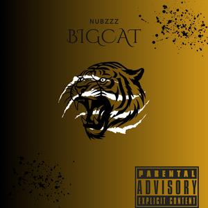BigCat