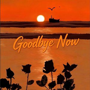 Goodbye Now