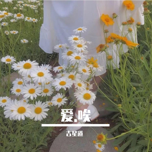 郭老板-吉星道-爱.唉(Remix)