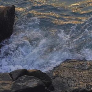 【干音】월하미인 (月下美人 : LUNA)