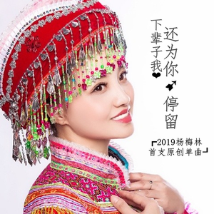 下辈子我还为你停留