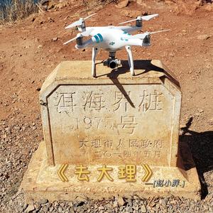 去大理（翻自 郝云）