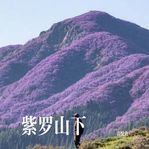 紫罗山下