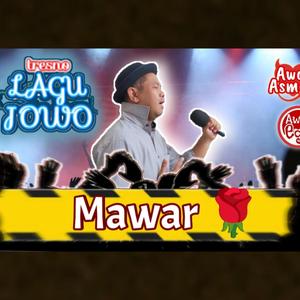 Mawar
