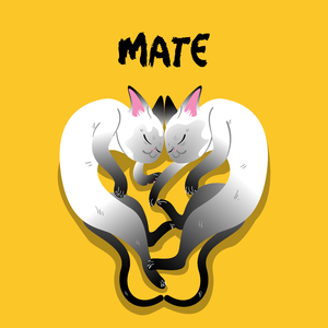 Mate
