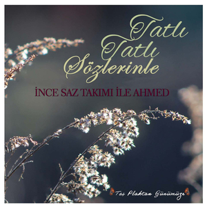Tatlı Tatlı Sözlerinle (Taş Plaktan Günümüze)