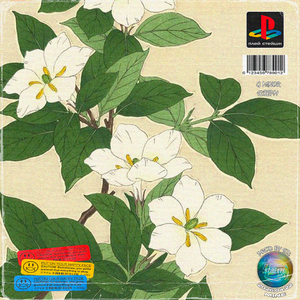 [Free]"茉莉"|国风孟菲斯SASIOVERLXRD x Gunna Type Beat