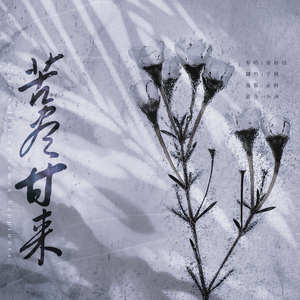 苦尽甘来（翻自 苦尽甘来）