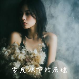 零度以下的灰燼