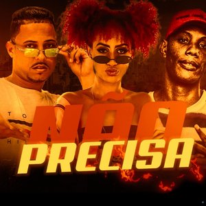 Não Precisa (feat. MC GW & Mc Nick)