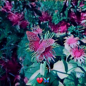 Tut mir doch so leid