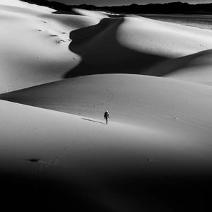 大方为认知买单