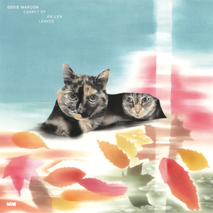 麻雀砂漠 / Majan Sabaku