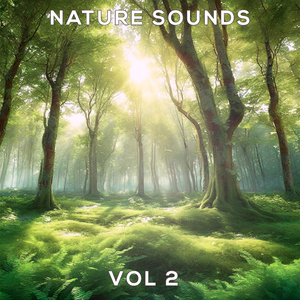 04 Nature Sounds Vol.2