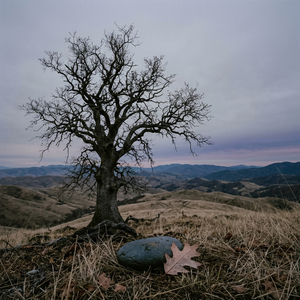 Quiet Mark on My Heart