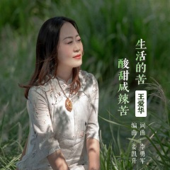 生活的苦酸甜咸辣苦