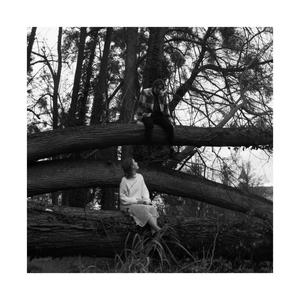 most things that fall just end up broken