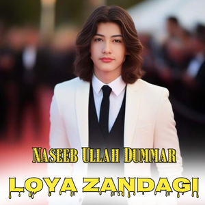 Loya Zandagi