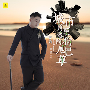 城市角落里的狗尾巴草