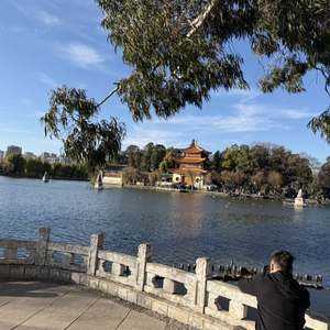 我愿意给你所有的偏爱