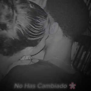 No Has Cambiado (Remix)