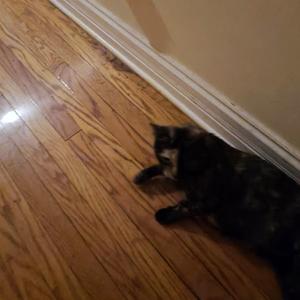 stay an nite 2 (need that touch)