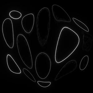 PANEL XII (GINKGO MIX)