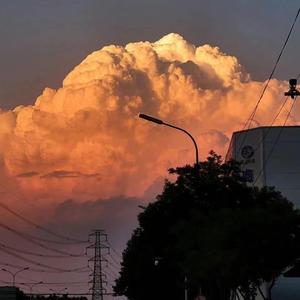 夏天走散的人要在夏天释怀 伴奏