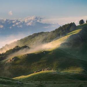 星空之梦 (出行必备好听的钢琴曲)