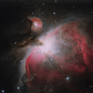 Evolutional (Original Mix)