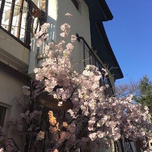 Sasha Sloan-Dancing With Your Ghost（Remix）