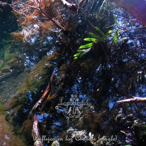 Reflejos en los Charcos (demo unreleased version)