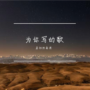 为你写的歌