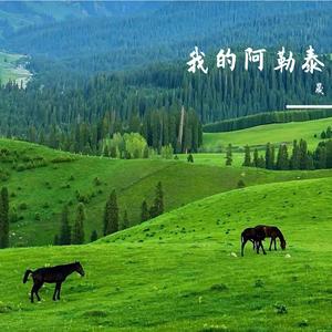 我的阿勒泰