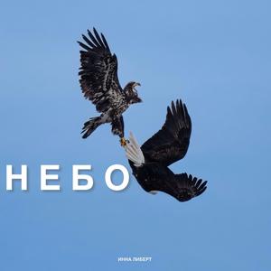НЕБО
