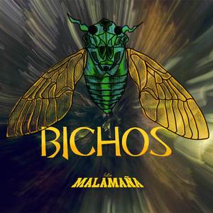 BICHOS