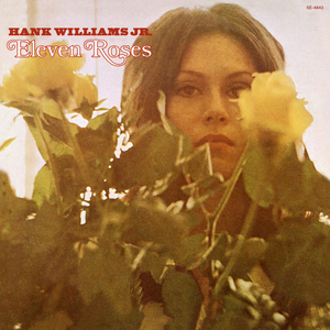 Hamburger Steak, Holiday Inn